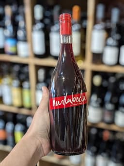 Sébastien David, "Hurluberlu" (BIO)